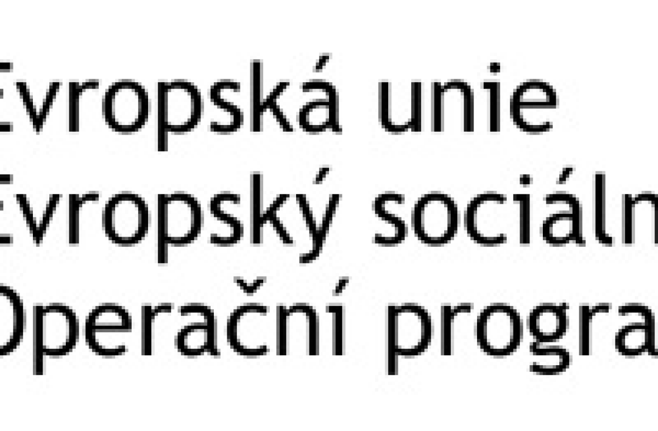 logo sociální služ. 